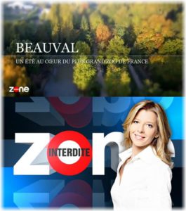 Lire la suite à propos de l’article Zone interdite : Beauval – ACT pèse le panda